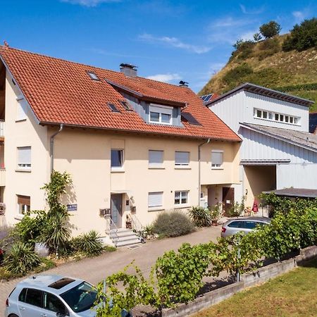 Apartmán Winzerhof Senn Vogtsburg Exteriér fotografie