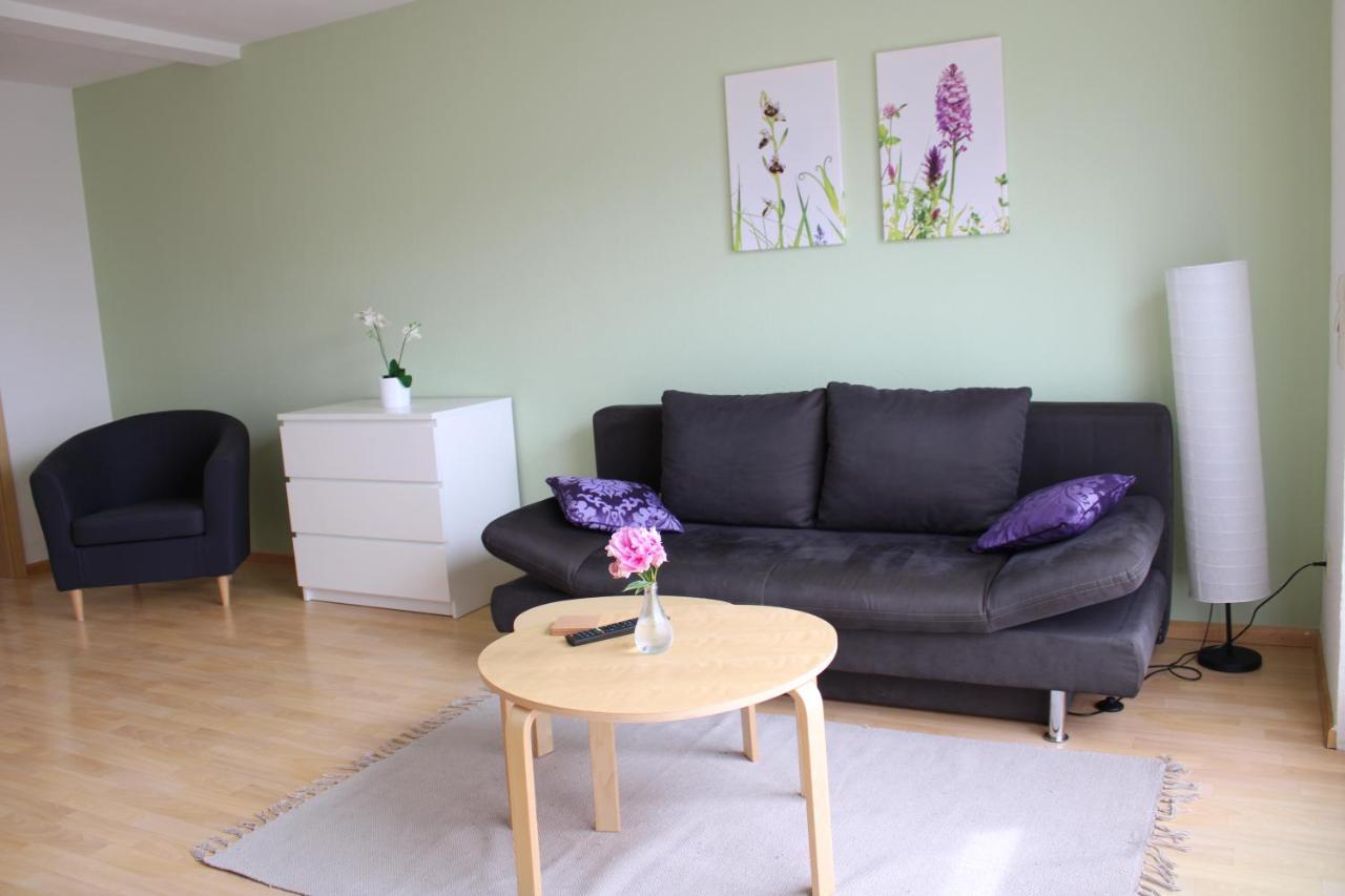 Apartmán Winzerhof Senn Vogtsburg Exteriér fotografie