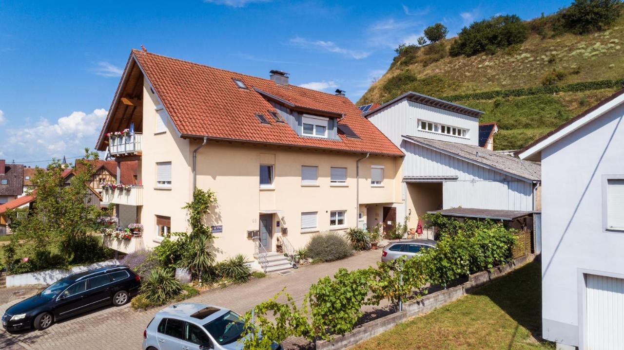 Apartmán Winzerhof Senn Vogtsburg Exteriér fotografie