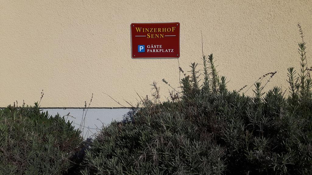 Apartmán Winzerhof Senn Vogtsburg Exteriér fotografie